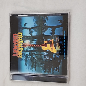 Lynyrd‎ Skynyrd Then and Now